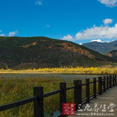 苦荞粑粑是当地的一道风味食品