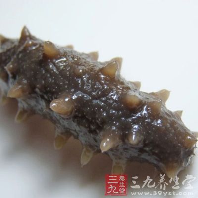 海參是手術(shù)患者的佳補(bǔ)品