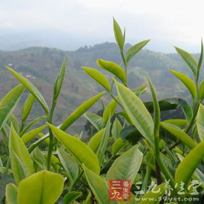 红茶甘温，可养人体阳气;红茶含有丰富的蛋白质和糖