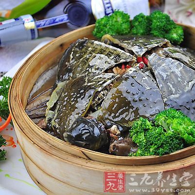 蒸貝母甲魚滋陰補(bǔ)肺