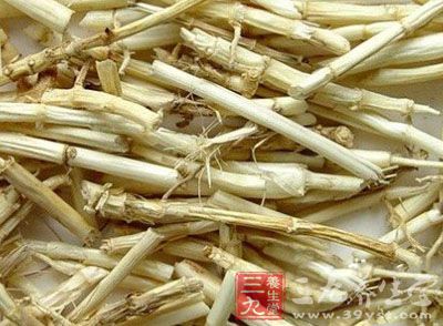 菅茅根的药用价值与应用