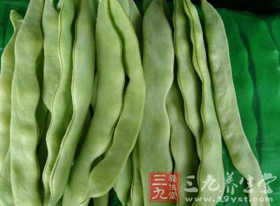 菜豆属短日性蔬菜，但多数品种对日照长短要求不严格