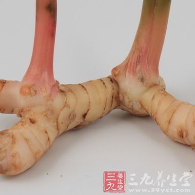 鲜菇、香茅、南姜、番茄仔、香芹