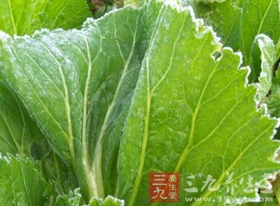 种子称芥子，研粉称芥茉