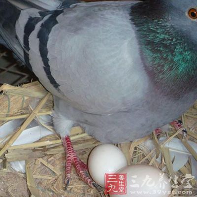 麻疹流行时期,可连服六至十个,每日服二个 麻疹流行时期,可连服六至十个,每日服二个