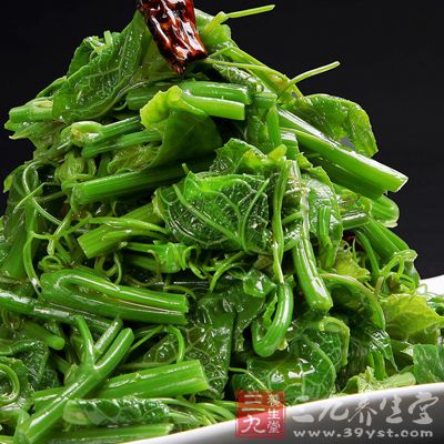 该种是中国山东地区提取琼胶的原料之一