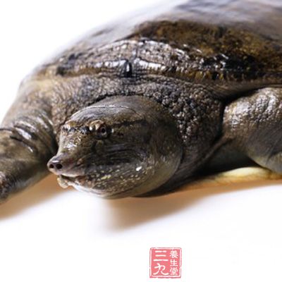 甲魚和莧菜，同食中毒死亡。解救：吃空心菜汁