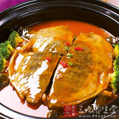 對于甲魚的進(jìn)食大家一定要適量