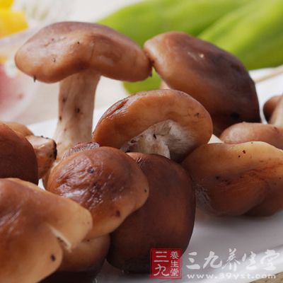 这也是为什么把香菇和鸡肉一起煮会很鲜美 这也是为什么把香菇和鸡肉一起煮会很鲜美