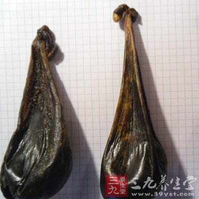 熊膽曾經(jīng)是一種較為罕見的動(dòng)物性藥材