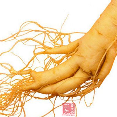 取人参一枝,用市售各种白酒500克浸泡7天以上 取人参一枝,用市售各种白酒500克浸泡7天以上