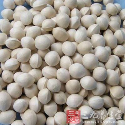 白果的药用价值很高 白果的药用价值很高
