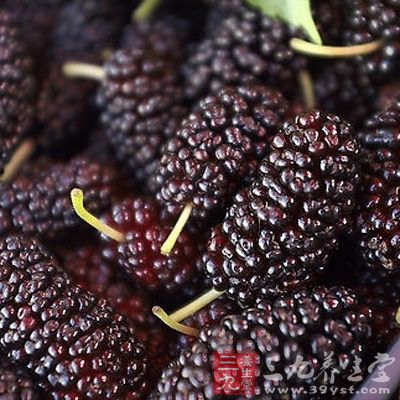 桑椹中含有鞣酸、脂肪酸、苹果酸等营养物质