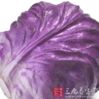 取一个中盆放入卷心菜丝