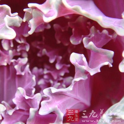 甘蓝洗净切成小块或宽条，大蒜拍碎