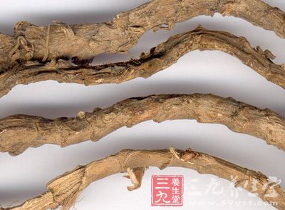 昌羊、昌阳、阳春雪、九节菖蒲、水剑草