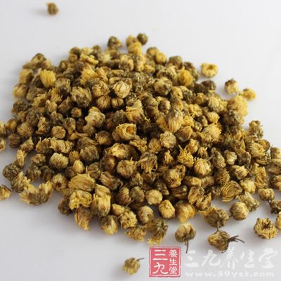 颜色太鲜艳、太漂亮的菊花不能选，应选有花萼，且颜色偏绿的菊花