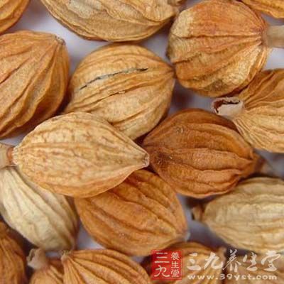 砂仁80g ,党参100g 砂仁80g ,党参100g