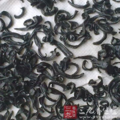 真正的药用水蛭是小长而黄