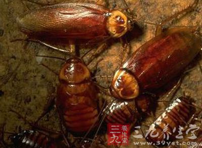 主血瘀癥坚,寒热,破积聚,喉咽闭 主血瘀癥坚,寒热,破积聚,喉咽闭