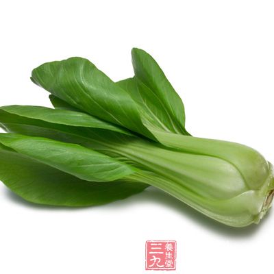 白菜,菘菜,它是一种基本上不含嘌呤的四季常青蔬菜