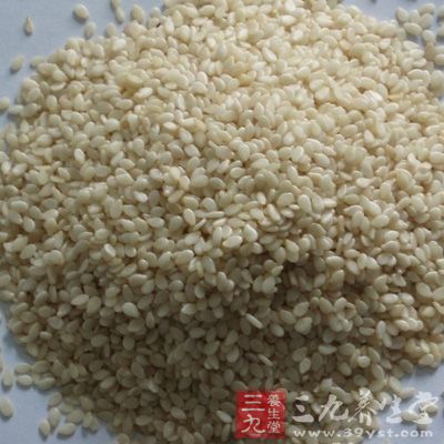 将药液合并加入桑葚、芝麻