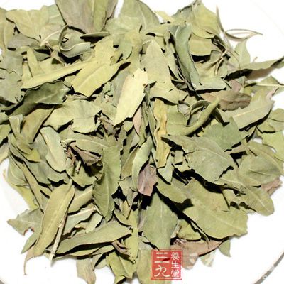罗布麻叶功效-三九养生堂养生百科