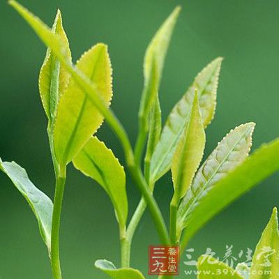 普洱茶具有暖胃、健胃、防止人体血管硬化、防癌抗癌等功效