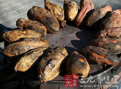 红薯黑斑病与化工桶无关 红薯黑斑病与化工桶无关