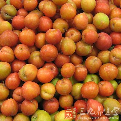 李子含高量的果酸，多食伤脾胃