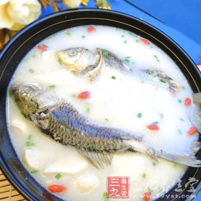 丁桂鱼的营养价值 经常吃丁桂鱼有啥好处(5)