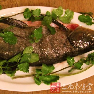 丁桂魚魚肉質(zhì)細(xì)嫩、口感鮮美，不飽和脂肪酸含量高，有較好的醫(yī)用價(jià)值