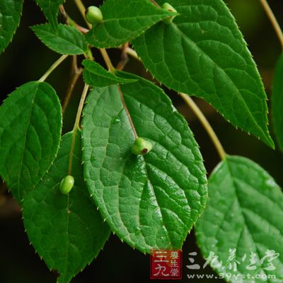 拜耳以高增长市场为重点 创新专注生命科学