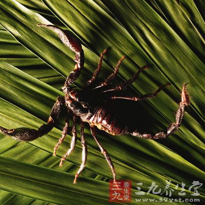 拜耳以高增长市场为重点 创新专注生命科学(2