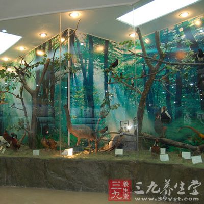 拜耳以高增长市场为重点 创新专注生命科学(2