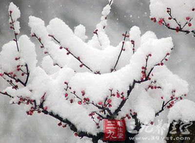 据了解，每年阳历的1月5日至7日，太阳到达黄经285度时为小寒