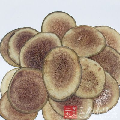 鹿茸是指梅花鹿或马鹿的雄鹿未骨化而带茸毛的幼角