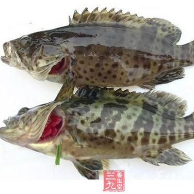 抗生素鱼魅影难消 三上黑榜生意照做