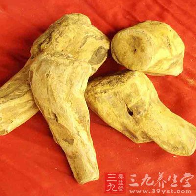 药用其干燥根茎，性味苦寒，归脾、胃、大肠、肝、心包五经