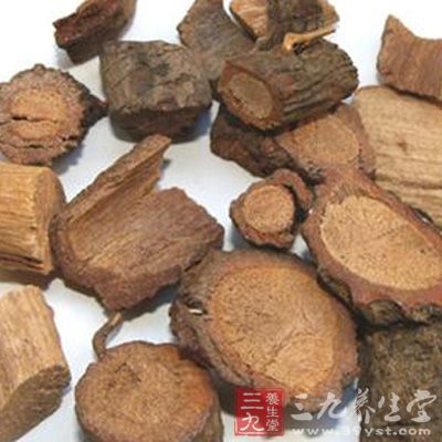 黑老虎根-三九养生堂养生百科