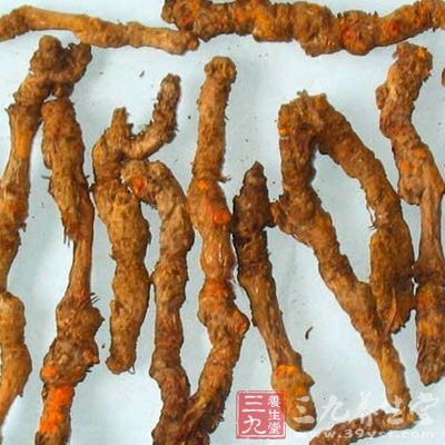 将黄连2粒,去掉胶囊衣 将黄连2粒,去掉胶囊衣