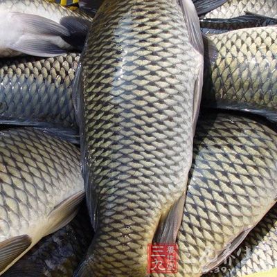 鲤鱼还具有滋补功能，对保持头发黑亮有一定作用