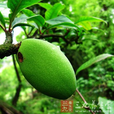 木瓜去皮、切块。放入果汁机中加入200cc 木瓜去皮、切块。放入果汁机中加入200cc