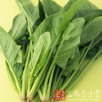 孕妇吃菠菜能够防衰老