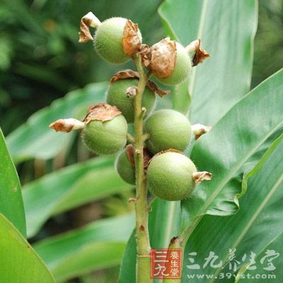 豆蔻50克，砂仁50克，芝麻100克，风豆豉2.5千克