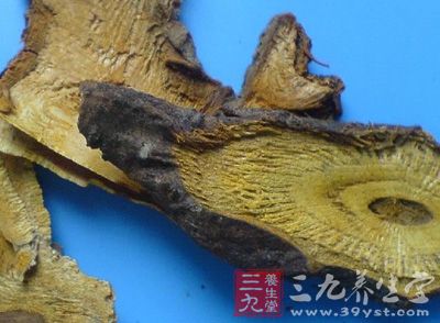 虎杖
