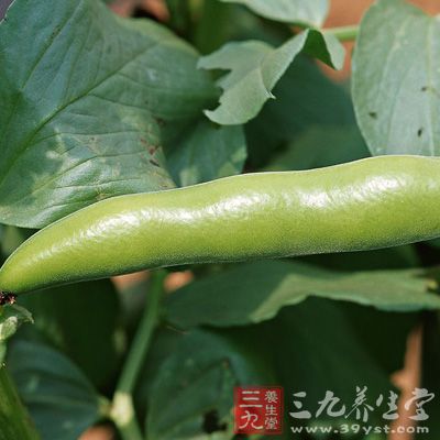 帮助消化、消除腹胀。本道菜蛋白质及膳食纤维含量丰富，既营养又可促进消化