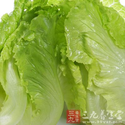 生菜依叶的生长形态可分为结球生菜