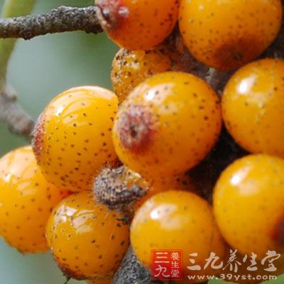 它可以阻断因体内物质过氧化产生的自由基 它可以阻断因体内物质过氧化产生的自由基