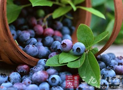 野生蓝莓可消除高脂饮食的不良影响